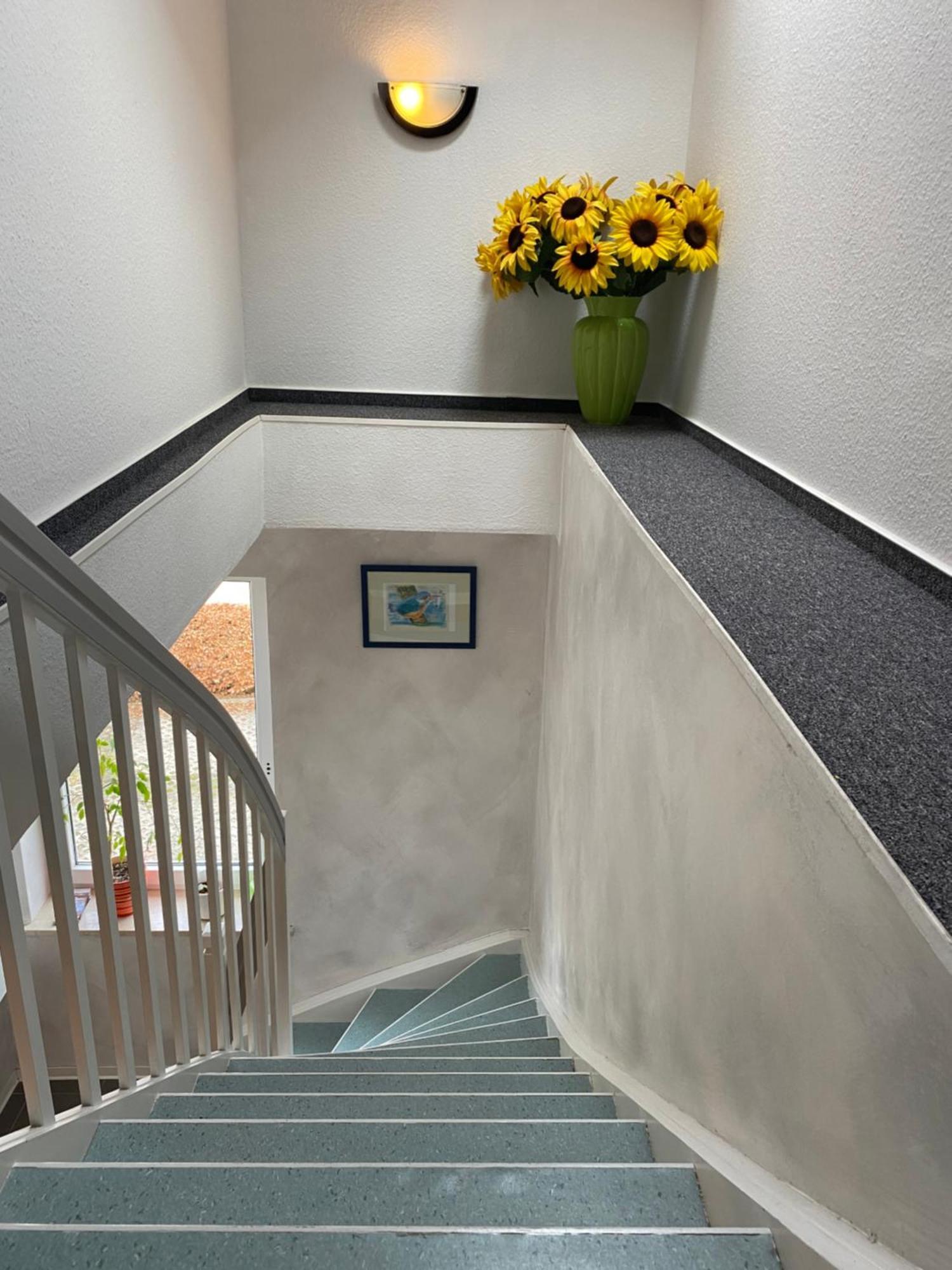 Haus Seewind Warnemuende 罗斯托克 外观 照片